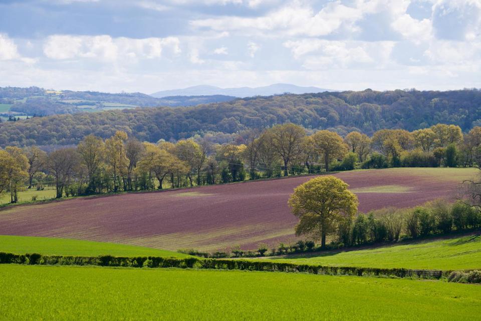 Winsley Park Farm *